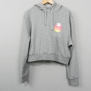 Salty Crew Summer Vibe Cropped Pullover Hoodie Sweatshirt Size L Gray Knit Top‎
